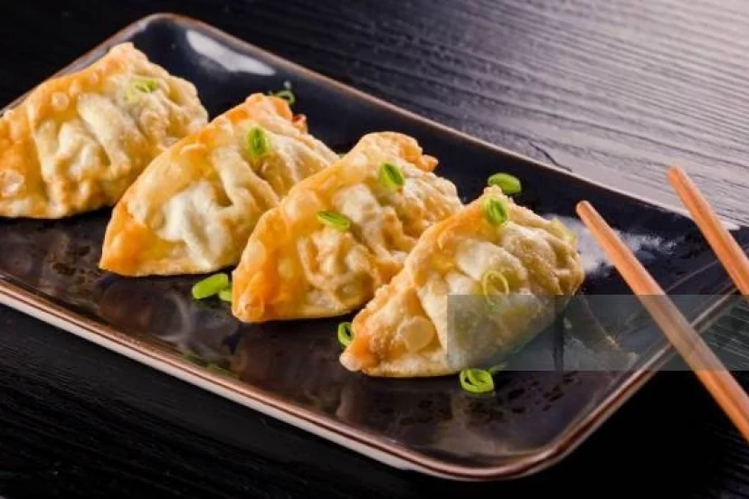 GYOZA VEGETAL